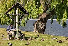 Waterside promenade at Lake Wanaka