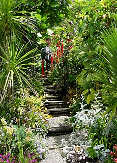 Flowergarden in Paihia