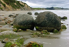 Moriaki Boulders bei Dunedin