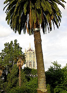 Clocktower in Auckland