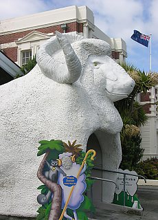 Fancy sheep shop in Hokitika