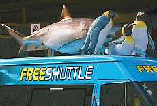Fancy Shuttlebus in Auckland