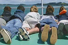 Boattrip in the Bay of Islands