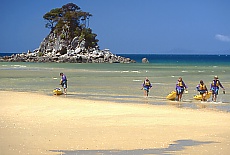 Paddler in Abel Tasman National Park