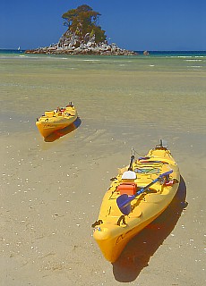 Paddler in Abel Tasman National Park