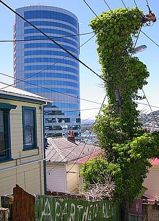 Electric power supply in Wellington