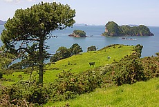 Coromandel peninsula