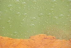 Champagne Pool in Waitapu Thermal Park