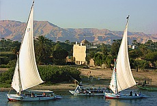 Feluccas sailing on river Nile