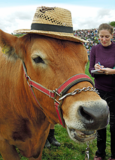 Proud participant in the bull race in Muensing