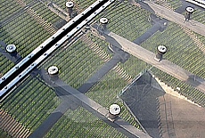 View through the transparent Plexiglas panels of Olympia tentroof