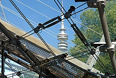 Climbing up Olympia tentroof