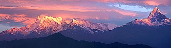 Afterglow at the Annapurna Range with Machhapuchare in Pokhara