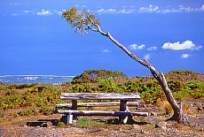 Windy picnic bench at Pico Maido
