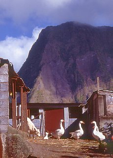 Mountain homestead in Hell-Bourg