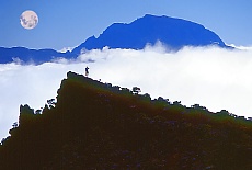 Piton des Neiges