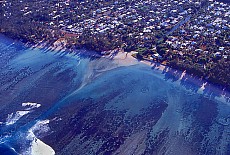 Coral reef in LHerimitage