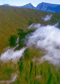 ULM-Flying in rainforest