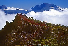 Blick auf den Piton des Neiges