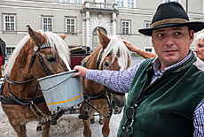 Pferdekutschen am Domplatz