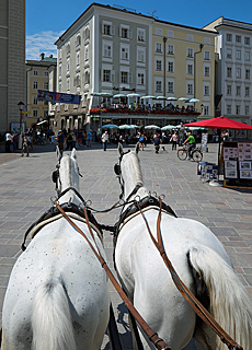 Kutschfahrt und Mozartkugeln im Cafe Tomaselli