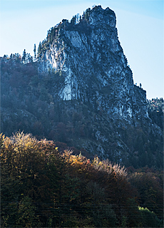 Felsnadel Nockstein