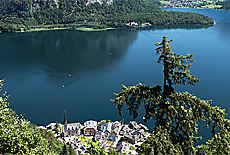 Hallstatt World Heritage view Skywalk