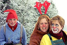 Fans at Gaissach sledge racing