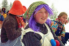 Fans at Gaissach sledge racing