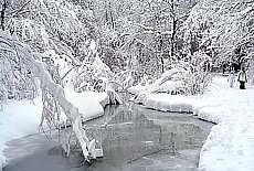 Winter romance in Munich