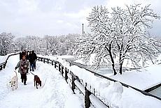 Winter fairy tale in Munich - Flauchersteg