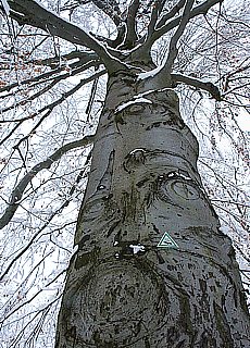 Winter fairy tale in Munich - Stiller Beobachter