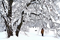 Winter romance in Munich