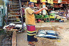 Poor fishmonger in Kandy