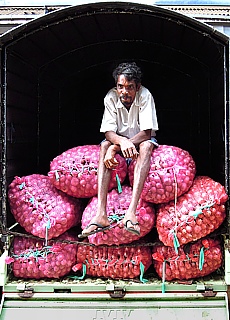 Onion traders in the wholesale market of Dambulla