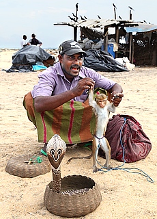 Snake charmer with cobra at the fish market in Negombo