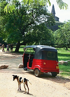 Dagoba in Polonnaruwa