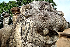 Temple Guardian in Polonnaruwa