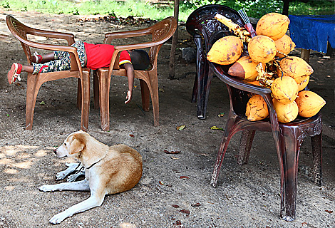 Small fruit dealer is exhausted