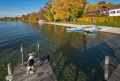 Starnberger See Ammerland