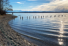 Lake Starnberger See Buchscharner Seewirt