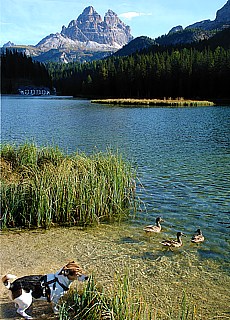Lake Misurina in the Dolomite Alps