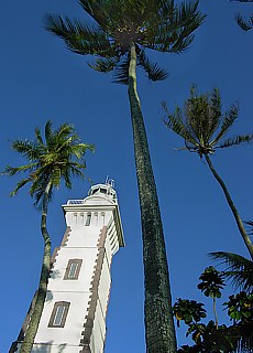 Lighthouse at Venus Point