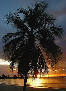 Sunset in Papeete