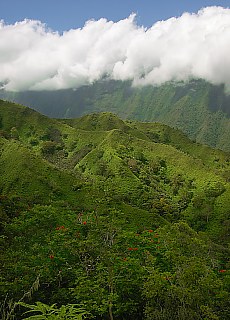 Tahitis Bergwelt