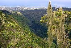 View from Belvedere downto Papeete