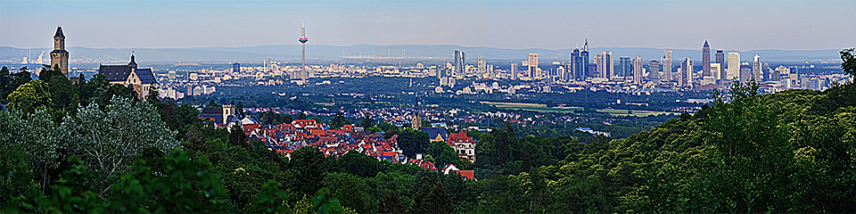 Skyline Frankfurt vom Taunus bei Kronberg