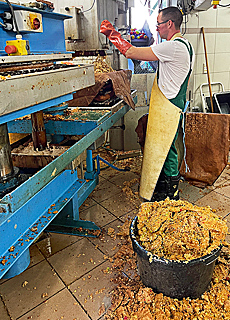 Appelwoi auf dem Rettershof bei Knigstein