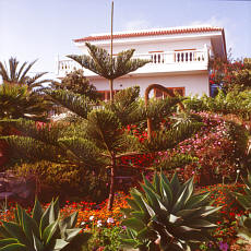 Garden on Tenerife