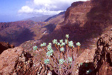 View into Masca canyon